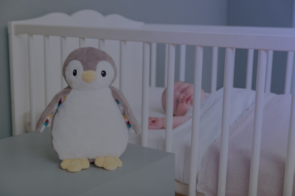 Zazu Phoebe the Penguin - Image 2